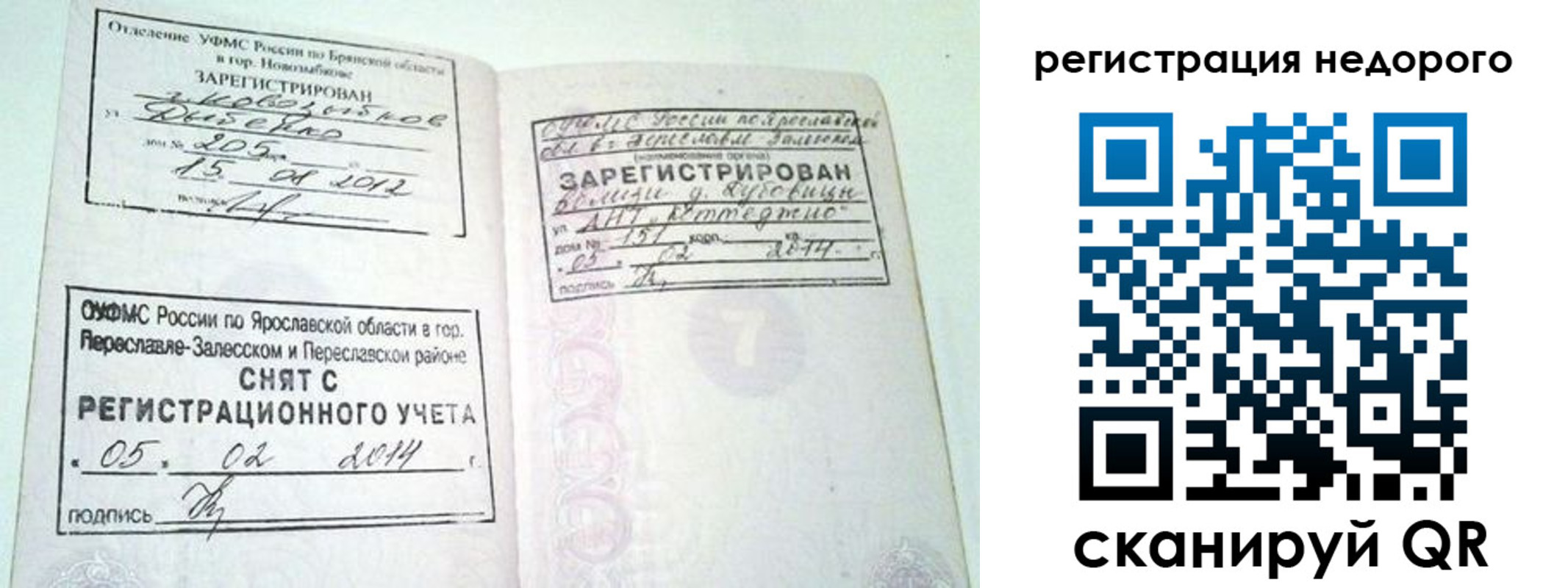 прописка поиск в Сургуте
